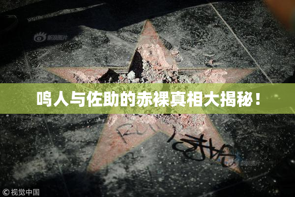 鸣人与佐助的赤裸真相大揭秘！