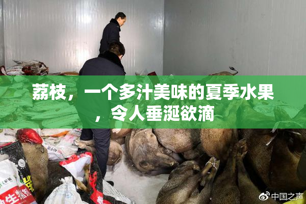 荔枝，一个多汁美味的夏季水果，令人垂涎欲滴