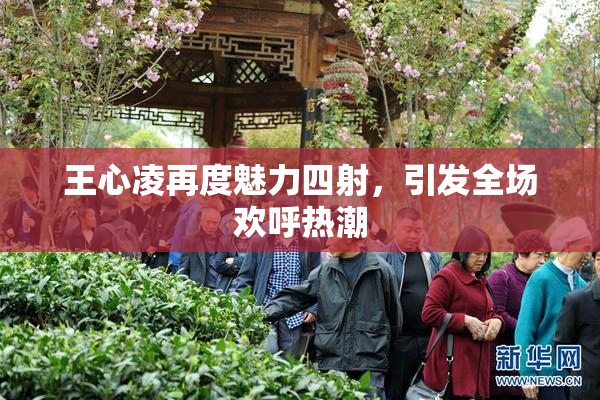 王心凌再度魅力四射，引发全场欢呼热潮