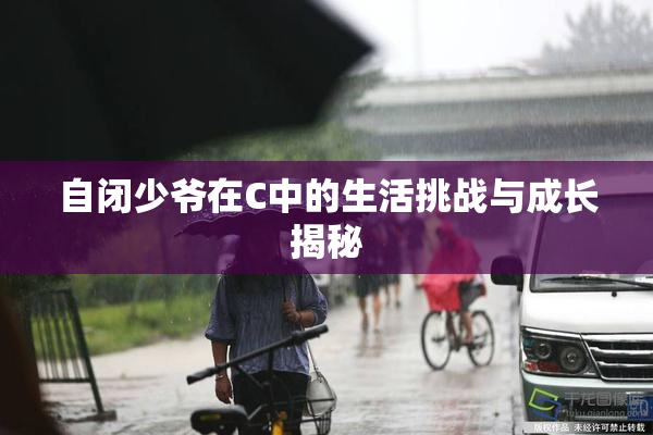 自闭少爷在C中的生活挑战与成长揭秘