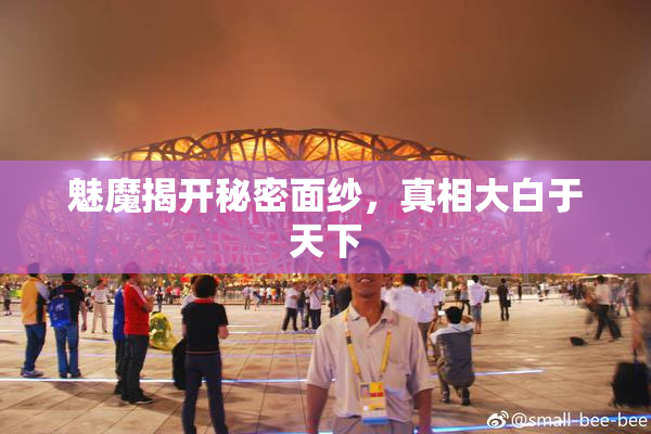 魅魔揭开秘密面纱，真相大白于天下