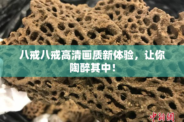 八戒八戒高清画质新体验，让你陶醉其中！