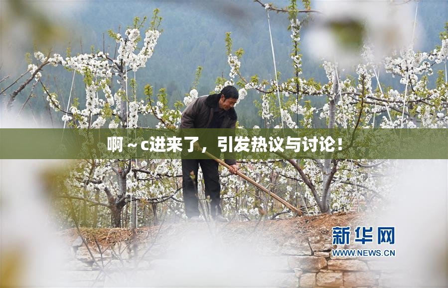 啊～c进来了，引发热议与讨论！
