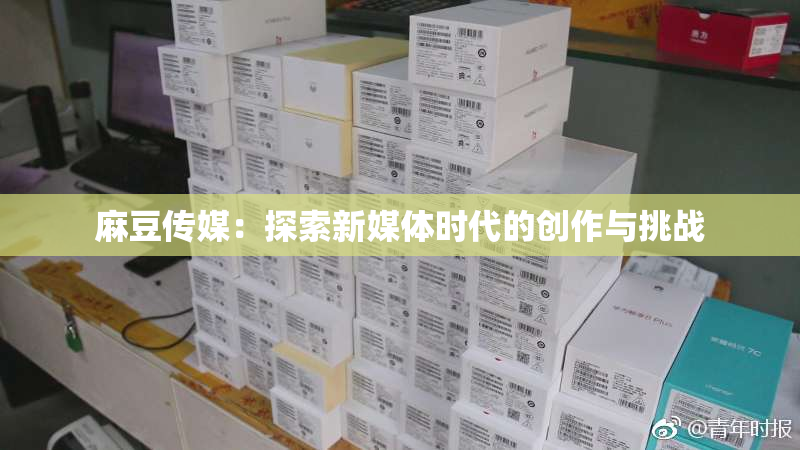 麻豆传媒：探索新媒体时代的创作与挑战