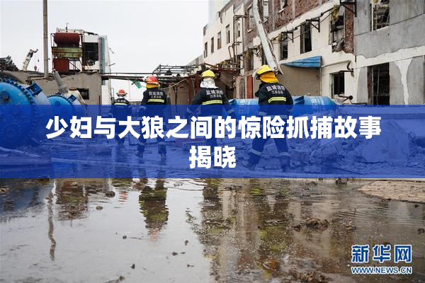 少妇与大狼之间的惊险抓捕故事揭晓
