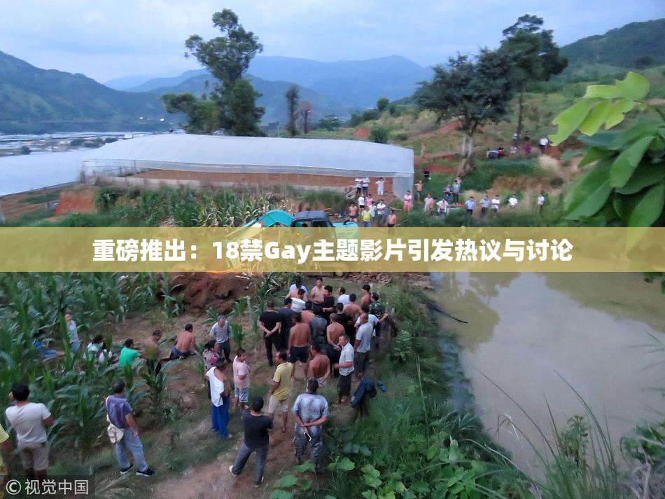 重磅推出：18禁Gay主题影片引发热议与讨论