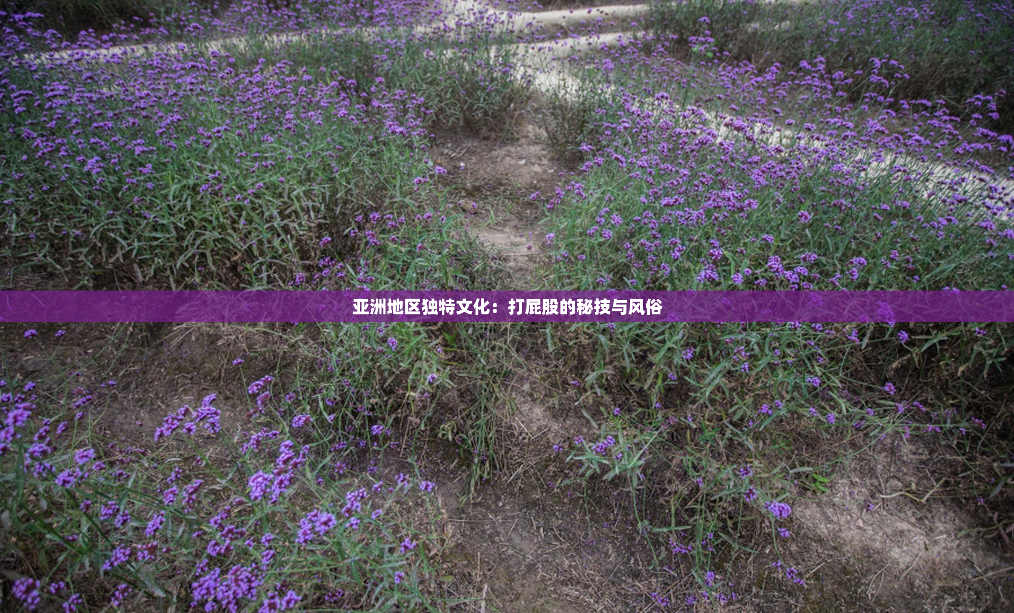 亚洲地区独特文化：打屁股的秘技与风俗