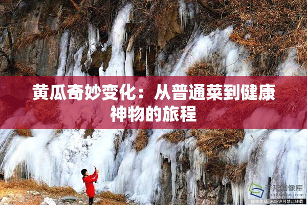 黄瓜奇妙变化：从普通菜到健康神物的旅程