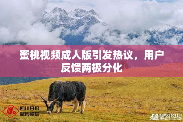 蜜桃视频成人版引发热议，用户反馈两极分化