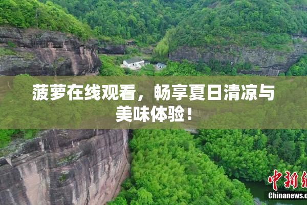 菠萝在线观看，畅享夏日清凉与美味体验！