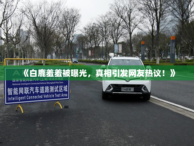 《白鹿羞羞被曝光，真相引发网友热议！》