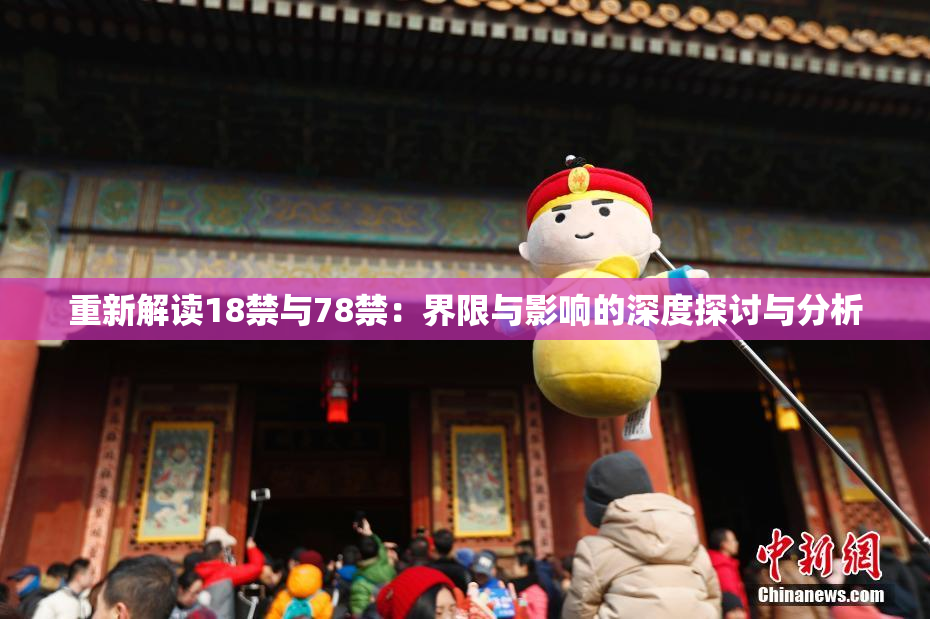 重新解读18禁与78禁：界限与影响的深度探讨与分析