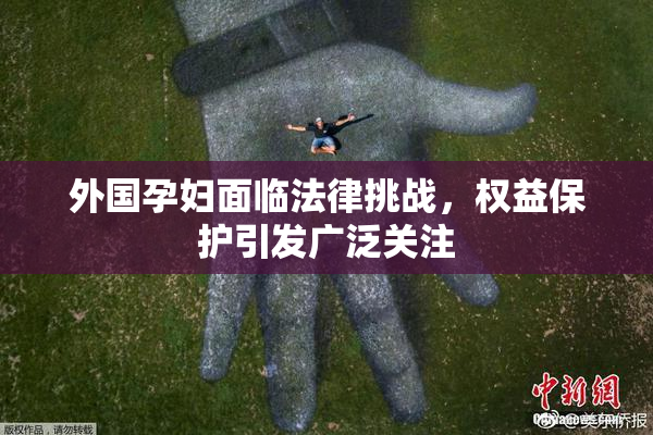 外国孕妇面临法律挑战，权益保护引发广泛关注