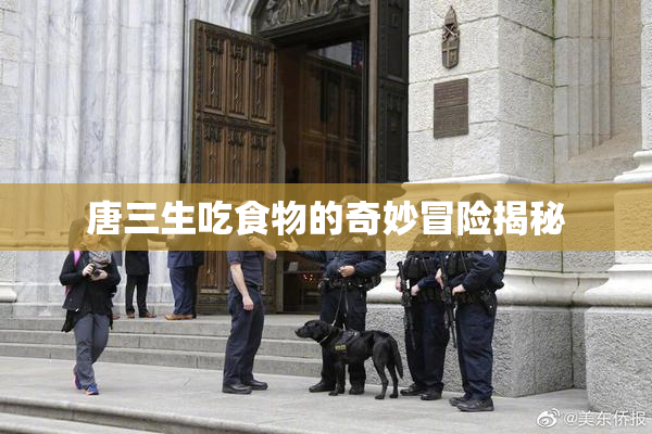 唐三生吃食物的奇妙冒险揭秘