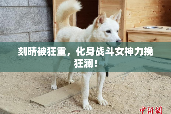 刻晴被狂重，化身战斗女神力挽狂澜！
