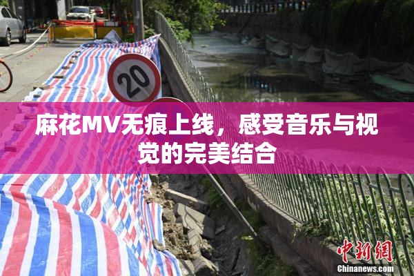 麻花MV无痕上线，感受音乐与视觉的完美结合