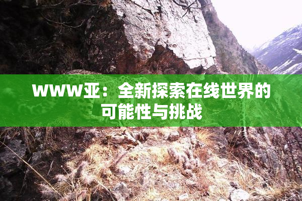 WWW亚：全新探索在线世界的可能性与挑战