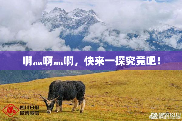 啊灬啊灬啊，快来一探究竟吧！
