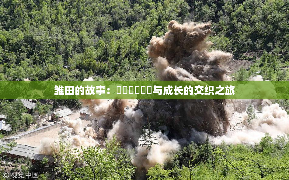 雏田的故事：❌‌❌‌❌‌与成长的交织之旅