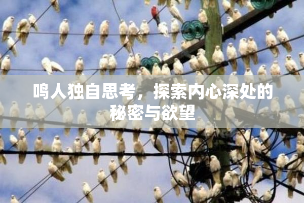 鸣人独自思考，探索内心深处的秘密与欲望