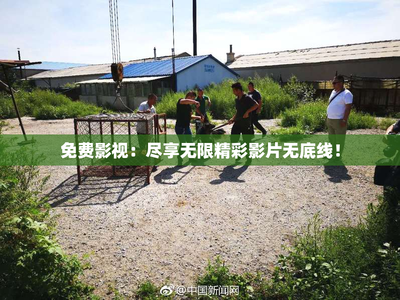 免费影视：尽享无限精彩影片无底线！