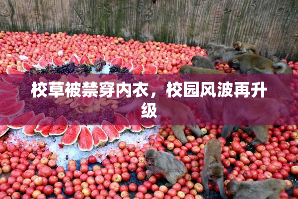 校草被禁穿内衣，校园风波再升级