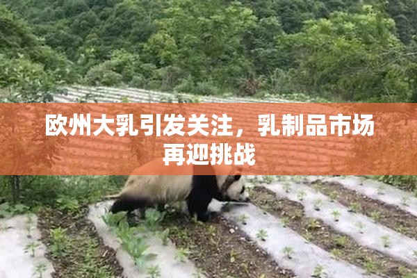 欧州大乳引发关注，乳制品市场再迎挑战