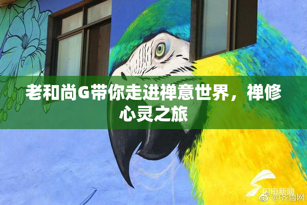 老和尚G带你走进禅意世界，禅修心灵之旅