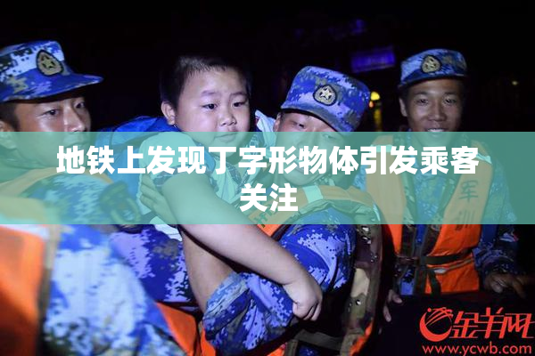 地铁上发现丁字形物体引发乘客关注