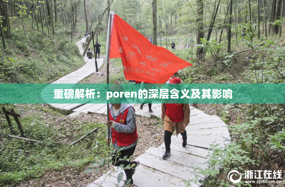 重磅解析：poren的深层含义及其影响