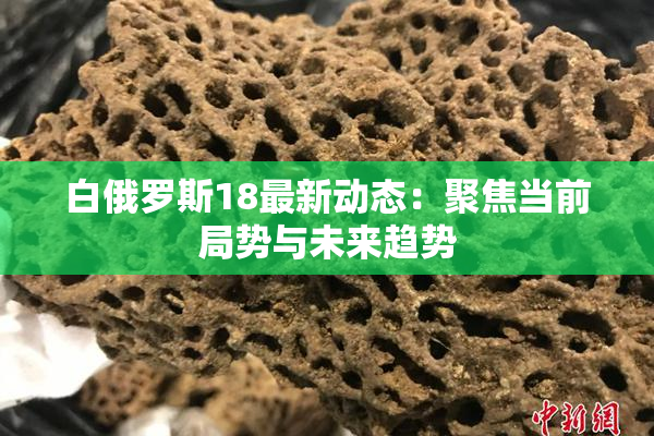 白俄罗斯18最新动态：聚焦当前局势与未来趋势