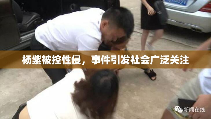 杨紫被控性侵，事件引发社会广泛关注