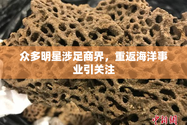 众多明星涉足商界，重返海洋事业引关注