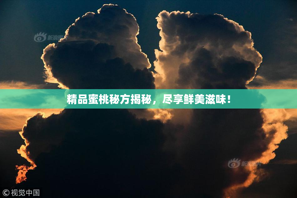 精品蜜桃秘方揭秘，尽享鲜美滋味！