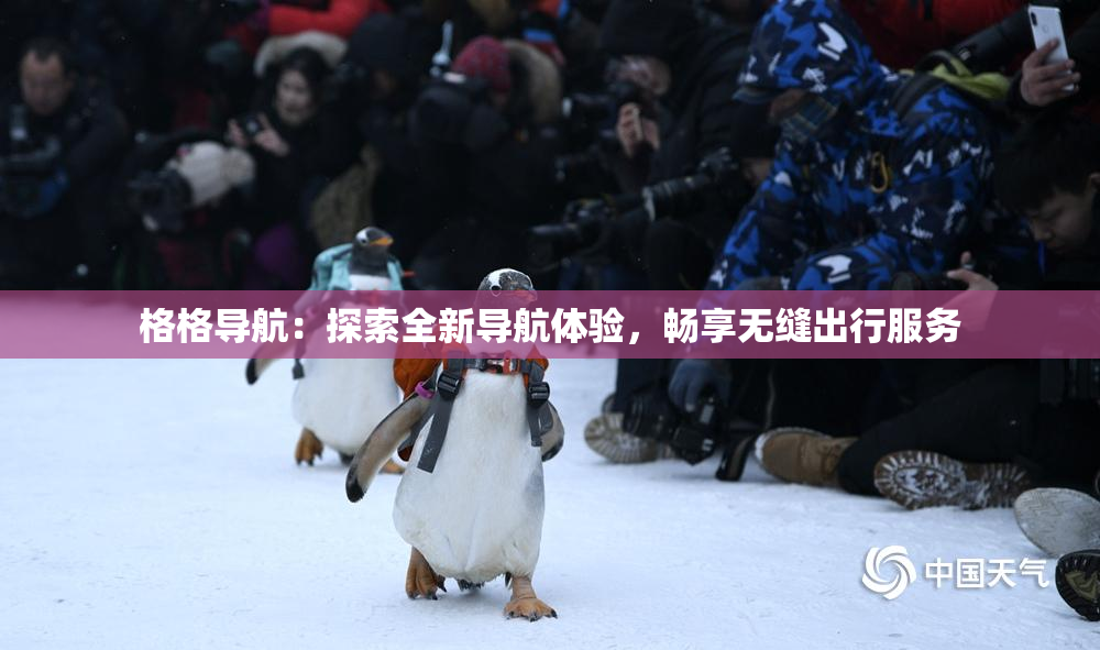 格格导航：探索全新导航体验，畅享无缝出行服务