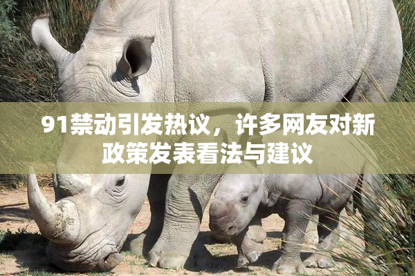 91禁动引发热议，许多网友对新政策发表看法与建议