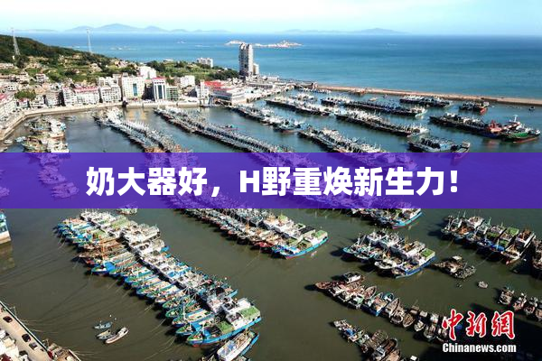 奶大器好，H野重焕新生力！
