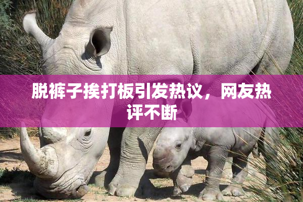 脱裤子挨打板引发热议，网友热评不断