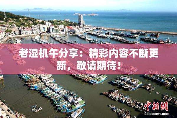 老湿机午分享：精彩内容不断更新，敬请期待！