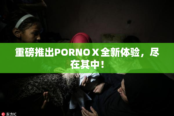 重磅推出PORNOⅩ全新体验，尽在其中！