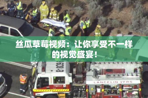丝瓜草莓视频：让你享受不一样的视觉盛宴！