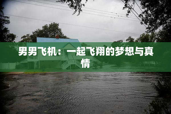 男男飞机：一起飞翔的梦想与真情