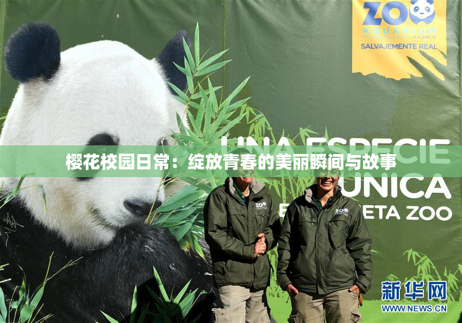 樱花校园日常：绽放青春的美丽瞬间与故事