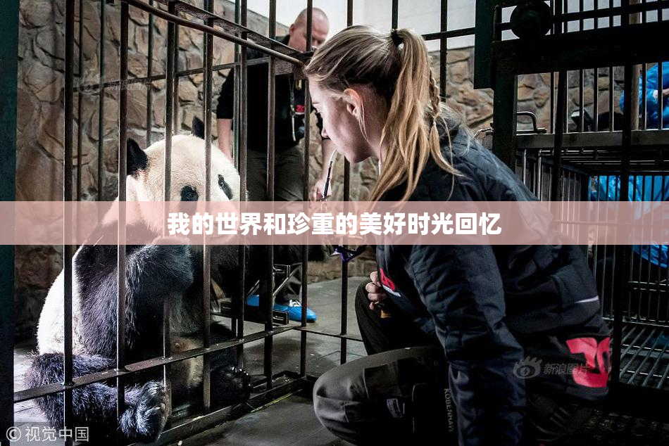 我的世界和珍重的美好时光回忆