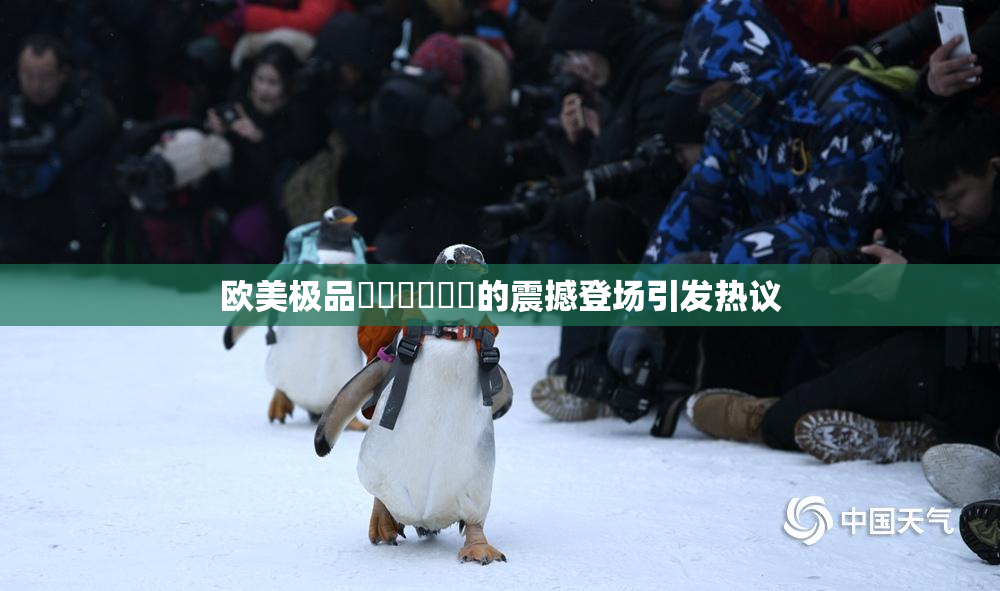 欧美极品❌‌❌‌❌‌的震撼登场引发热议
