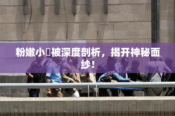 粉嫩小泬被深度剖析，揭开神秘面纱！