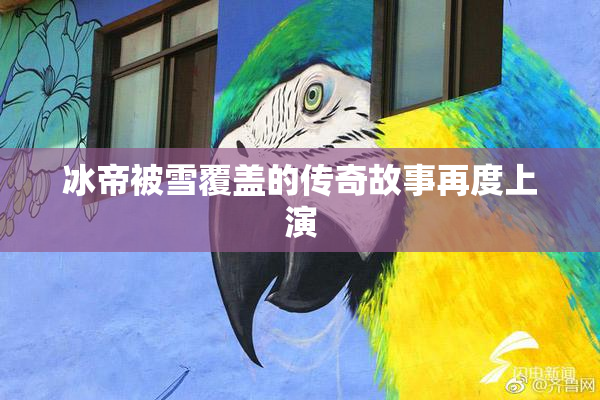 冰帝被雪覆盖的传奇故事再度上演