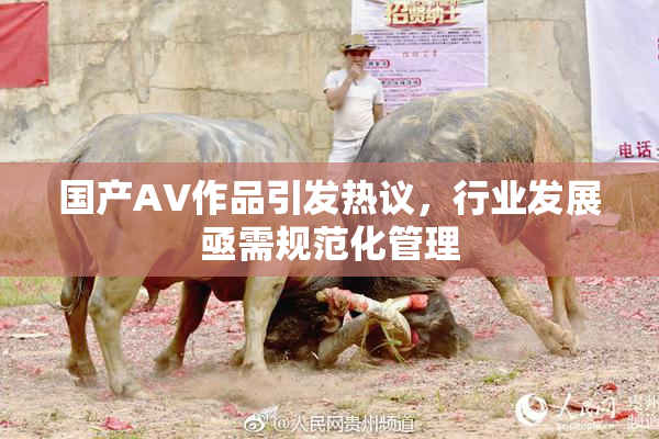 国产AV作品引发热议，行业发展亟需规范化管理