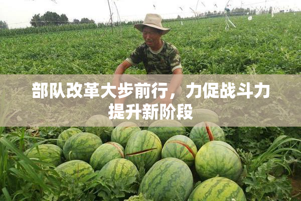 部队改革大步前行，力促战斗力提升新阶段