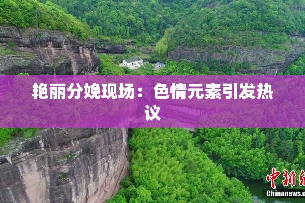 艳丽分娩现场：色情元素引发热议